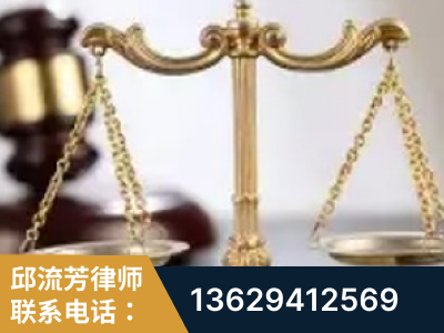 阆中-委托诉讼代理人出庭
